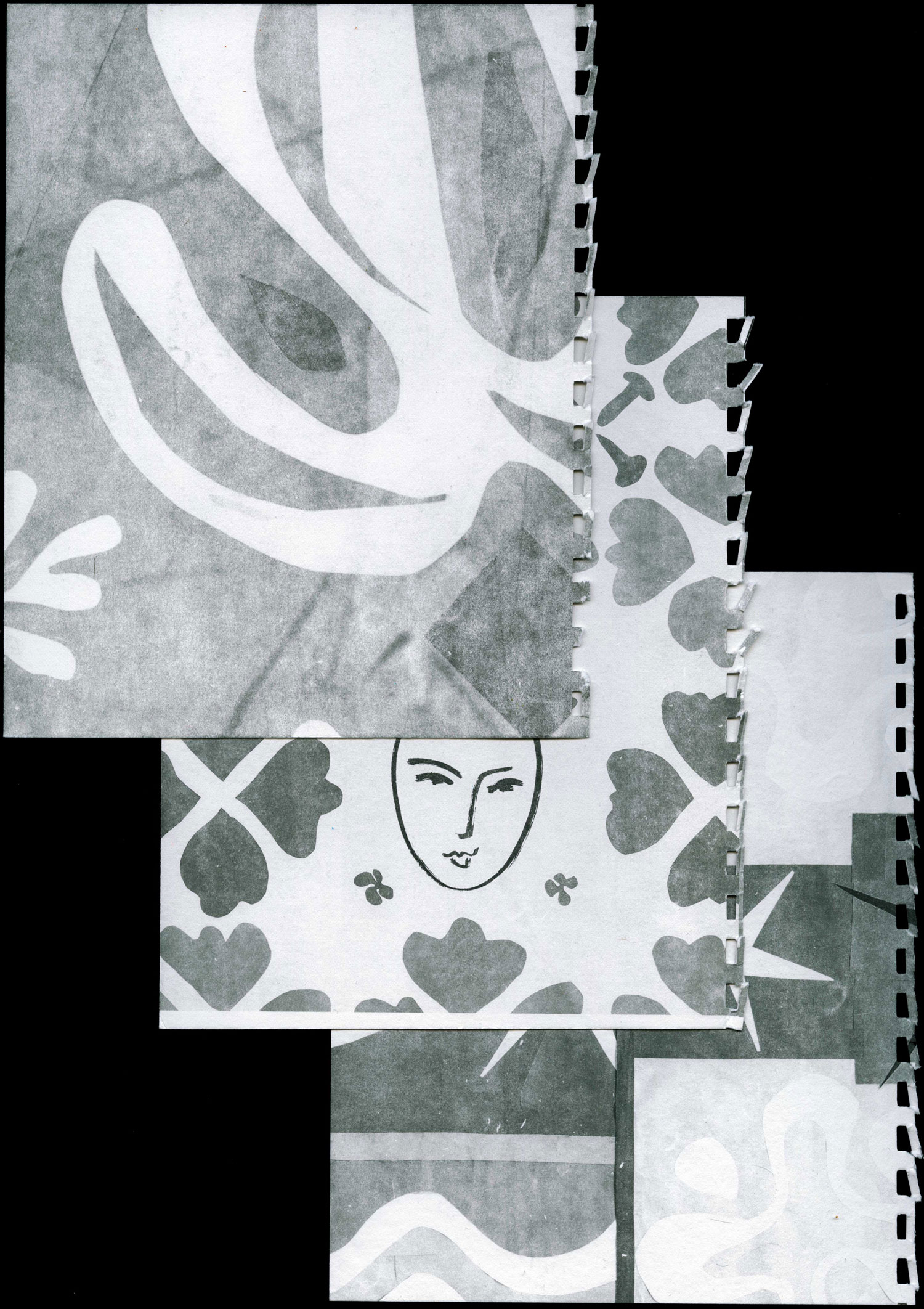 Henri Matisse: The Cut-outs printed matter. Book. Luke Hoban